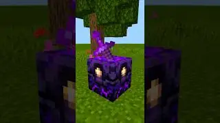 Minecraft TikTok Build Hack 