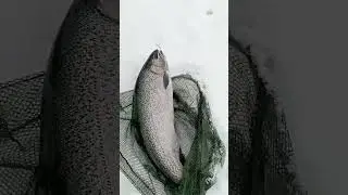 зимняя рыбалка