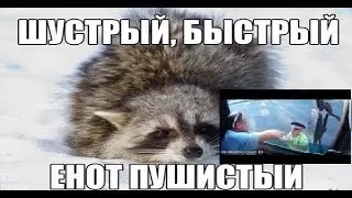 ДПС: "Шустрый" инспектор тоже исправился!"