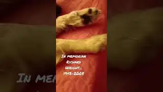 Lola y su siesta...