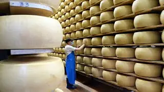 The Food Industry With Modern Production Process That Are At Another Level