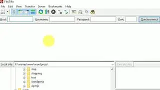 How to show hidden files in filezilla?