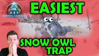 I built the Cheapest and BEST Snow Owl Trap Ever | How To Tame a SNOWOWL Quick and Easy Ark Ascended