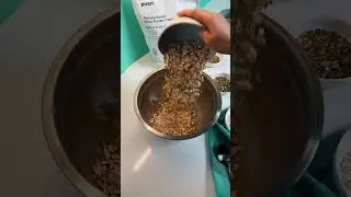Baked Protein Bars