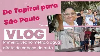 Direto da cabeça da anta ele fez isso _Elaine SM