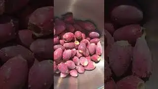 How to make prickly pear juice 🌵