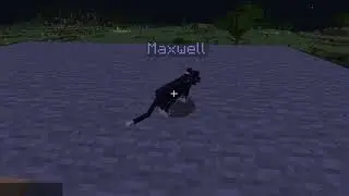 Maxwell cat 9 hours, but it's a Minecraft plugin