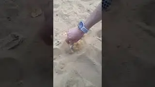 странное явление