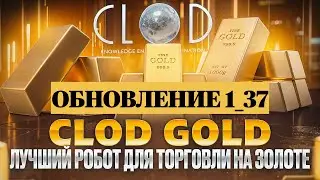Обновление робота CloD GolD. Как установить?