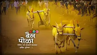 Bail Pola status video 2024 | Bail Pola whatsapp 4k full screen status video 💛 बैल पोळा स्टेटस #4k