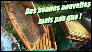 Des bonnes nouvelles mais pas que !