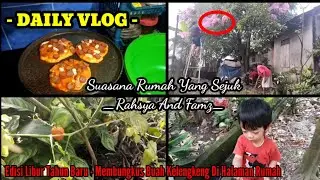 DAILY VLOG ‼️ MEMBUNGKUS BUAH KELENGKENG DI POHON & SUASANA LINGKUNGAN RUMAH YANG MASIH SEJUK