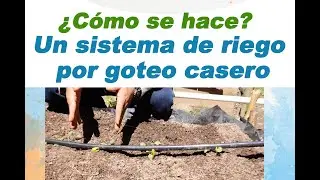 How to make a homemade drip irrigation system