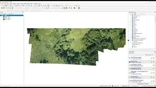 Set transparency, upload a raster, create a Web map with NextGIS Connect for QGIS