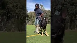 Matrix von Taylorhof protection
