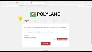 07  Polylang   Multilanguage Content
