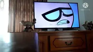 robin scream