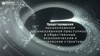 Стратегии для предотвращения организованной преступности и борьбы с ней