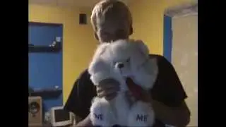 mah teddy