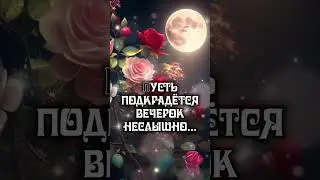 #добрыйвечер