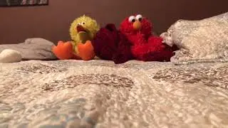 Elmo and bigbird learn