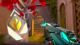 The Art Of AIMBOT: Slowzy 2.0