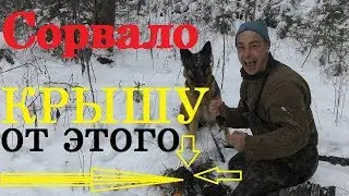 Реакция ПОИСКОВИКА на Золото!