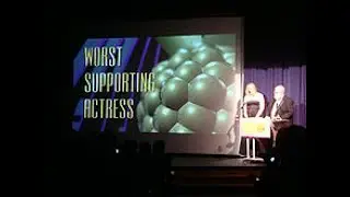 Golden Raspberry Award for Worst Supporting Actor