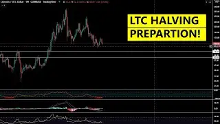 Litecoin Halving 2023 Price Prediction and Preparation