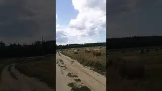 буслы