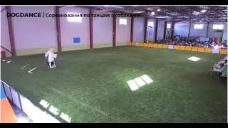 ЧР 2017 Ника "Эльфийская симфония" 5 место