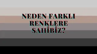 Neden farklı renklere sahibiz?