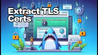 Extract TLS Certificates using Wireshark