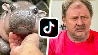 śmieszne tik toki karwasz twarz XDDDDDD