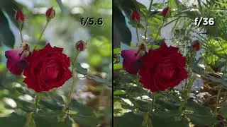 DSLR - F stop difference comparison
