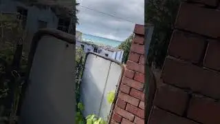 Лесная база