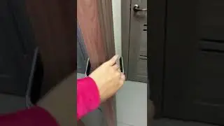 Дверь межкомнатная 636