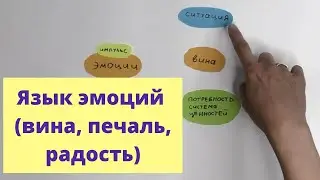Зачем нужны эмоции? (часть вторая: вина, печаль, радость)