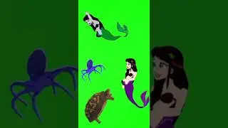 Green Screen mermaid Talking tortoise Octopus !!