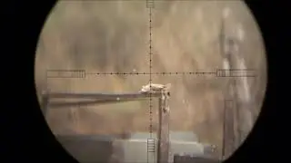 Hit them Hard! sparrow pest control