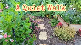 Quiet Late-Summer Garden After a Morning Rain