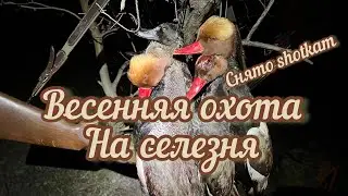Горячее открытие весенней охоты‼️👍🏻👍🏻 2022 ‼️