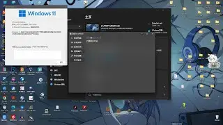 Windows 11 23H2 Explorer new bug crashes..
