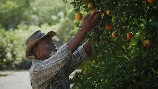 Laeveld Agrochem 2023 | TVC 30 sek