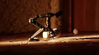 Stop Motion Walking and Moving Pacing #shorts