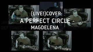 Cover: A Perfect Circle - Magdalena (Live!)