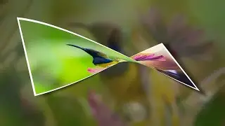 Create Twist Transition Effect in DaVinci Resolve - Fusion Tutorial and FREE Template