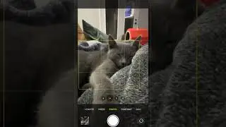 iphone 14 pro max problem #shorts #iphone14promax #iphone14
