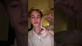 спокойной ночи🌝||💫жду у себя в тгк: Даня Ку💫