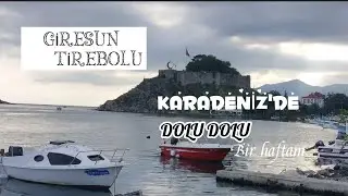 Giresun/Tirebolu  🤗 İlk kez dalından fındık topladım🌰😍